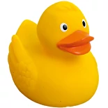 Canards de bain