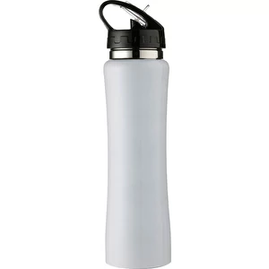 CustomGiftsNow Edelstahl-Wasserflasche – 600 Ml, Silber, Mit Strohhalmdeckel | Sportflasche, Spülmaschinengeeignet