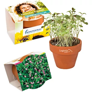 Mini pot terre cuite, fo ...