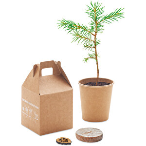 Growtree™ , beige, Karton, 7,00cm x 13,00cm x 6,50cm (Länge x Höhe x Breite)