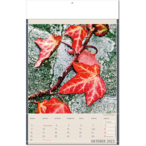 Kalender 'Naturfynd' i formatet 24 x 37,5 cm, med vikta sidor, Bild 11
