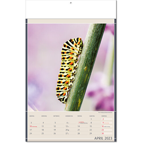 Calendario 'Reperti della natura' nel formato 24 x 37,5 cm, con pagine piegate, Immagine 5