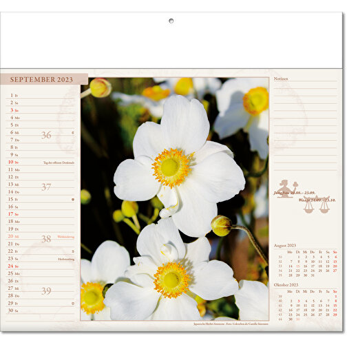 Bildkalender 'Blütenwelt' , Papier, 27,00cm x 30,00cm (Höhe x Breite), Bild 10