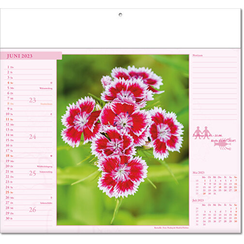 Calendario illustrato 'Il mondo dei fiori, Immagine 7