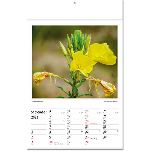 Kalendarz obrazkowy 'Botanica, Obraz 10