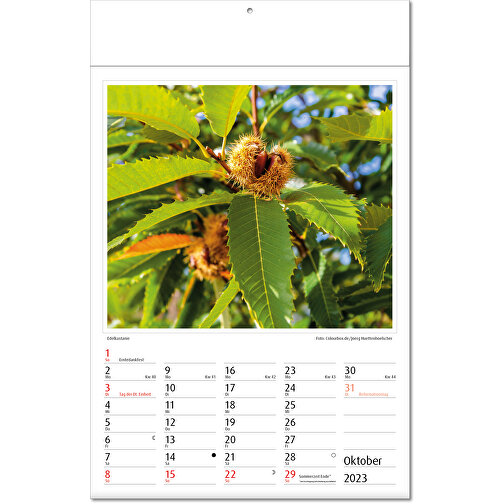 Kalendarz obrazkowy 'Botanica, Obraz 11