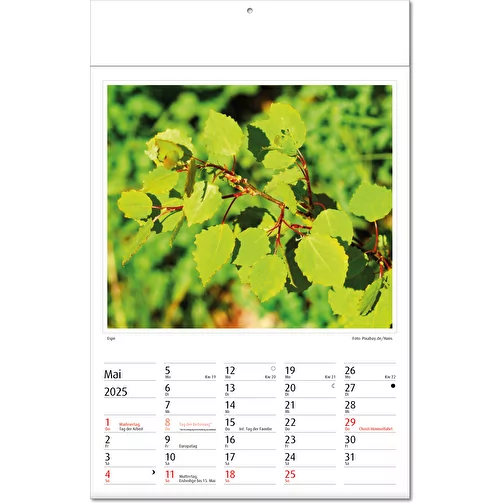 Calendrier photos 'Botanica', Image 6