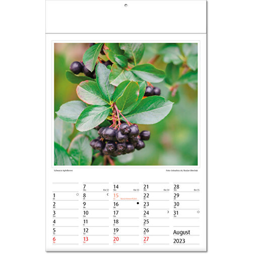 Kalendarz obrazkowy 'Botanica, Obraz 9