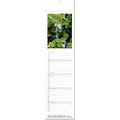 Bildkalender 'Tee & Heiltees' , Papier, 53,50cm x 13,00cm (Höhe x Breite), Bild 12