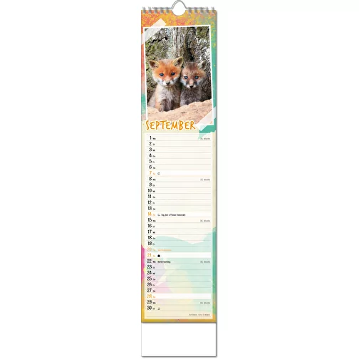 Calendrier photos 'Bébés animaux', Image 10