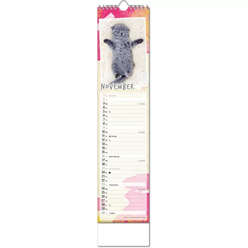 Calendrier photos 'Bébés animaux', Image 12