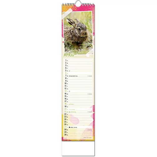 Calendrier photos 'Bébés animaux', Image 5
