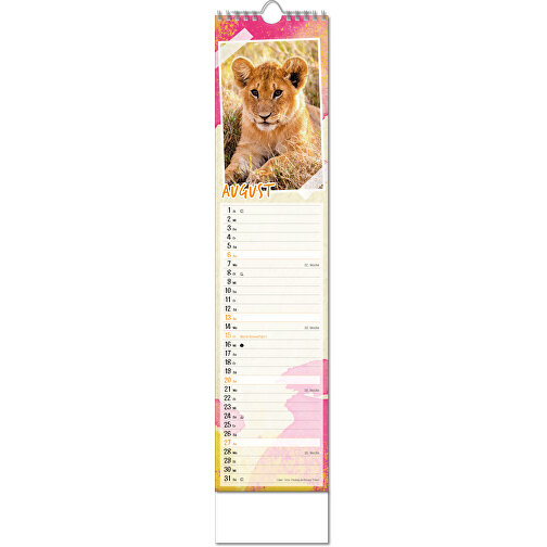 Bildkalender 'Tierbabys' , Papier, 49,00cm x 11,00cm (Höhe x Breite), Bild 9