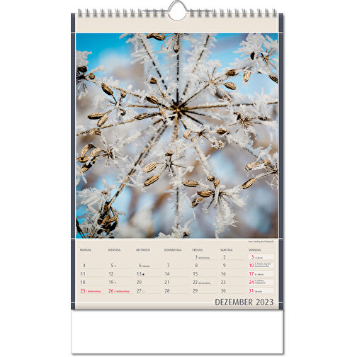 Kalender 'Naturfynd' i formatet 24 x 38,5 cm, med Wire-O-bindning, Bild 13