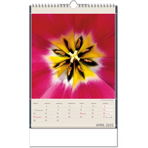 Calendrier 'Découvertes de la nature' au format 24 x 38,5 cm, avec reliure Wire-O, Image 5