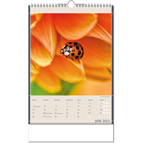 Kalender 'Naturfynd' i formatet 24 x 38,5 cm, med Wire-O-bindning, Bild 7