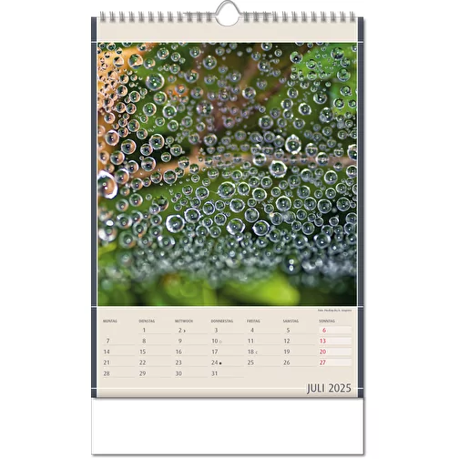 Calendrier 'Découvertes de la nature' au format 24 x 38,5 cm, avec reliure Wire-O, Image 8