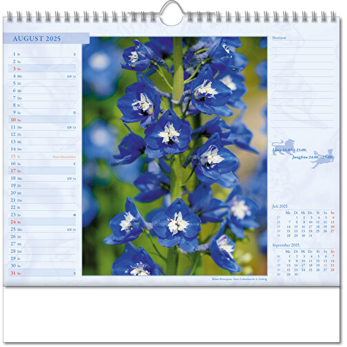 Bildkalender 'Blütenwelt' , Papier, 28,00cm x 30,00cm (Höhe x Breite), Bild 9