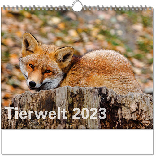 Bildkalender 'Tierwelt' , Papier, 28,00cm x 30,00cm (Höhe x Breite), Bild 1