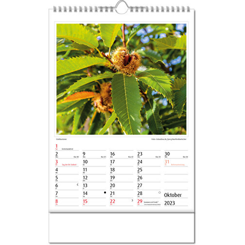 Bildkalender 'Botanica' , Papier, 34,60cm x 24,00cm (Höhe x Breite), Bild 11