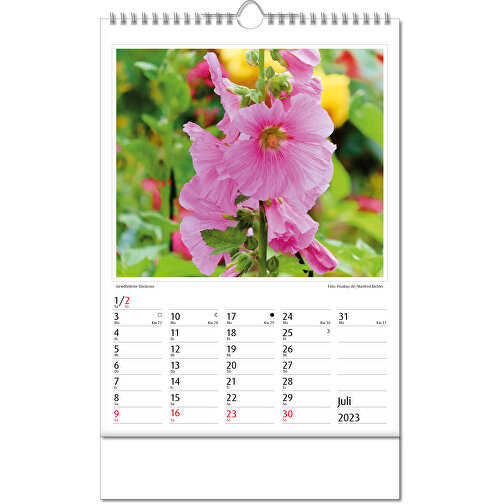 Calendario de imágenes 'Botanica, Imagen 8