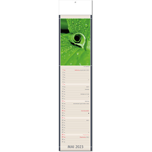 Calendrier 'Découvertes de la nature' au format 11 x 50 cm, avec plis, Image 6