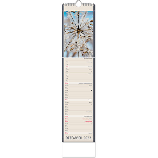 Kalender 'Fundstücke Der Natur' , Papier, 49,00cm x 11,00cm (Höhe x Breite), Bild 13