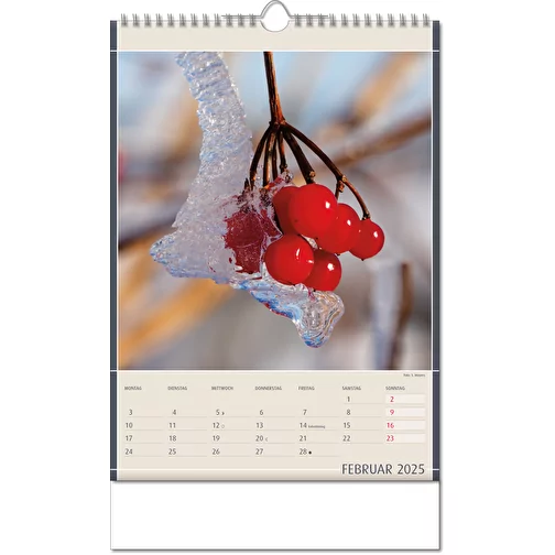 Calendrier 'Découvertes de la nature' au format 11 x 51 cm, avec reliure Wire-O, Image 3