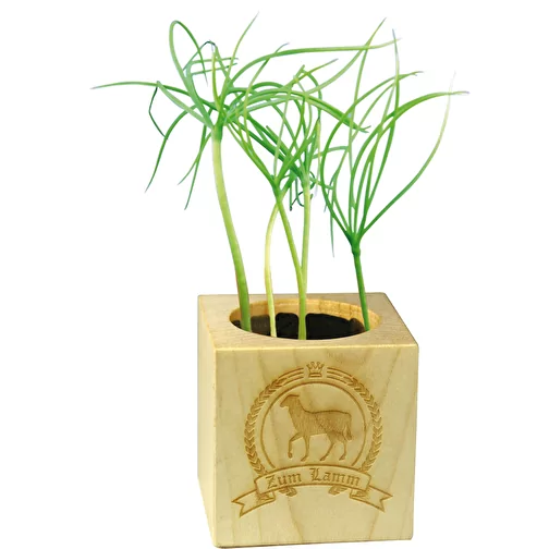 Pot cube bois Mini de Noël - Epicéa - Epicéa, Image 1