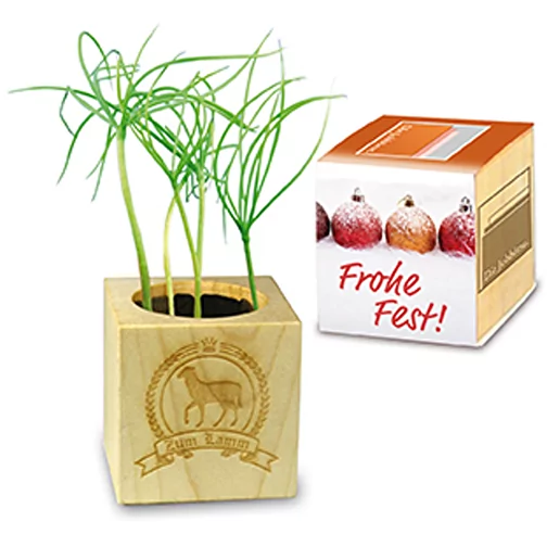 Pot cube bois Mini de Noël - Epicéa - Epicéa, Image 4