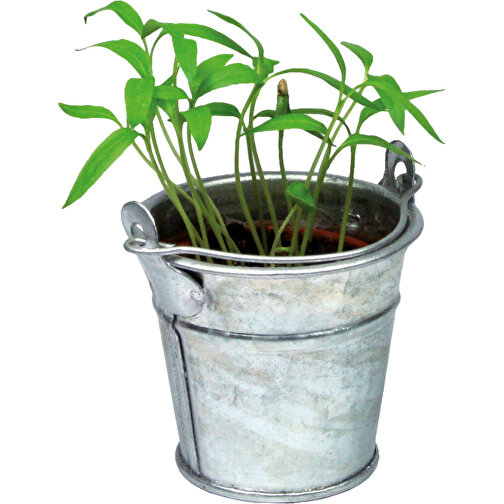 Pflanzeimerchen Mit Samen - Gewürzpaprika , individuell, Zinkblech, Saatgut, Papier, Erde, 5,50cm (Höhe), Bild 5