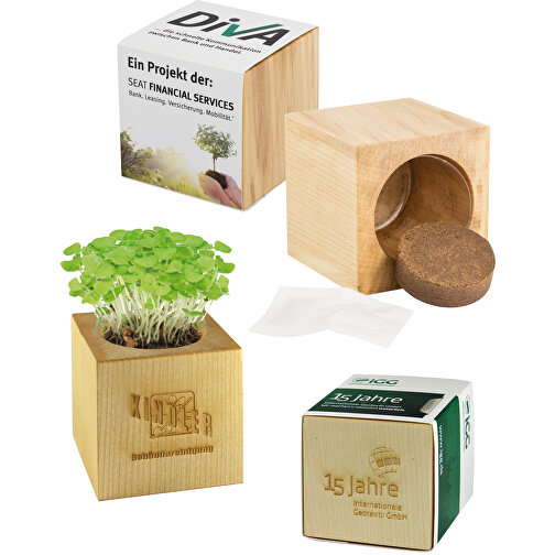 Pot cube bois maxi avec graines - Bulbes de trèfle à 4 feuilles, 1 sites gravés au laser, Image 5