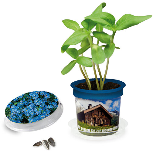 Florero-Töpfchen Mit Samen - Blau - Vergissmeinnicht , blau, Saatgut, Papier, Erde, Kunststoff, 5,00cm (Höhe), Bild 1