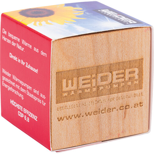 Papel estándar de madera para plantar incl. 1 cara con láser - girasol, Imagen 2