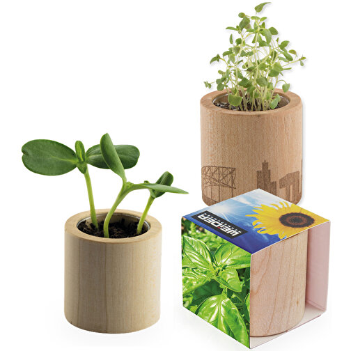 Pot rond en bois avec graines - Basilic,Gravure laser 360°, Image 1