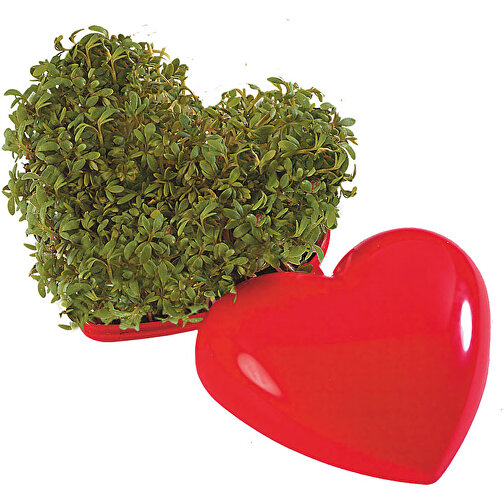 Ein Gesundes Herz , rot, Kunststoff, Kokosfaser, Folie, Samen, 6,00cm x 3,50cm x 6,00cm (Länge x Höhe x Breite), Bild 1
