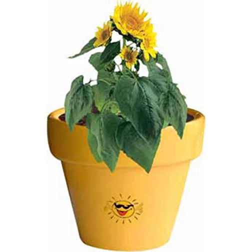 Lerkruka Färg Färgglada blomma världen, Bild 2