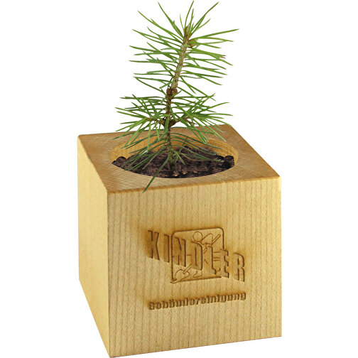 Pot cube bois de bureau de Noël - Design standard - Epicéa - 1 sites gravés au laser, Image 1