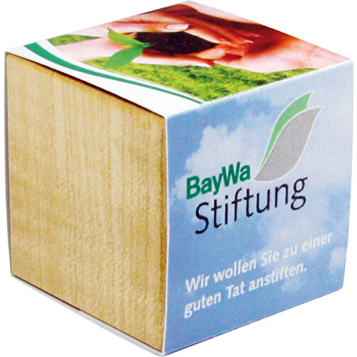 Pot cube bois de bureau avec graines - Basilic, Image 1