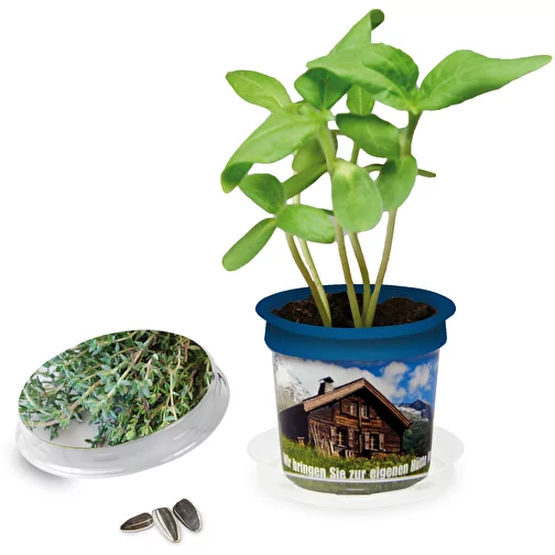 Florero Pot Thyme med Banderole, Bild 1