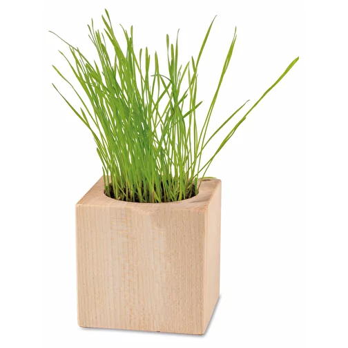 Drewno do sadzenia Wielkanoc, w tym 1 strona laserowana, Obraz 3