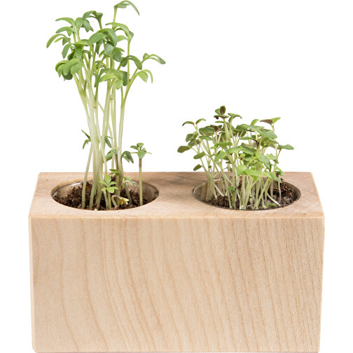 Pot bois 2 compartiments avec graines - Bulbes de trèfle à 4 feuilles, Image 1