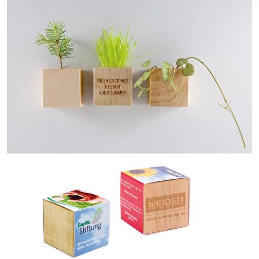 Pot cube bois mini avec aimant avec graines - Thym, 2 sites gravés au laser, Image 4