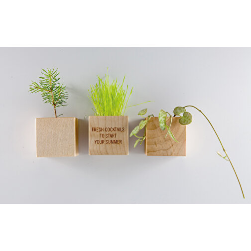 Magnete di legno per piante con laser 1 lato - Girasole, Immagine 2