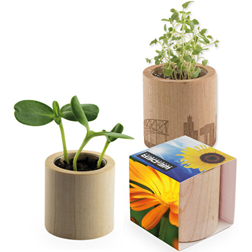 Pot rond en bois avec graines - Souci,Gravure laser 360°, Image 1