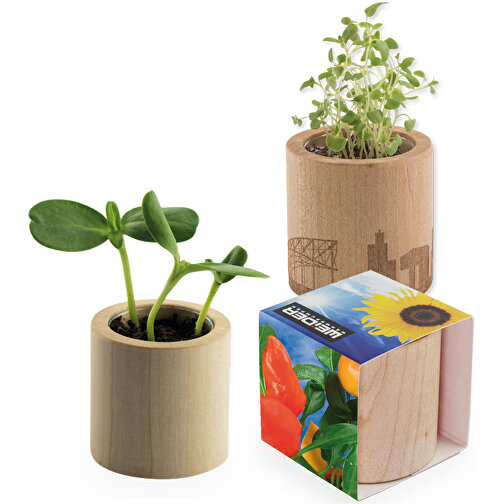 Pot rond en bois avec graines - Piment,Gravure laser 360°, Image 1