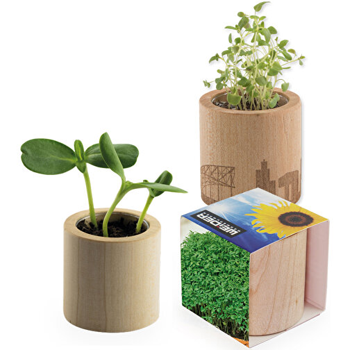 Pot rond en bois avec graines - Cresson de jardin, gravure laser, Image 1