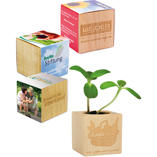 Plant Wood Standard Paper - Thyme, Bild 1