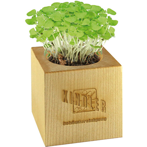 Pot cube bois maxi avec graines - Marguerite, 2 sites gravés au laser, Image 2