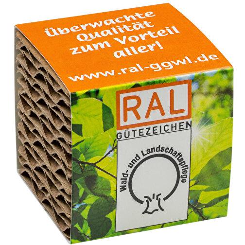 Cubo de cartón corrugado para plantas Mini - Girasol, Imagen 1